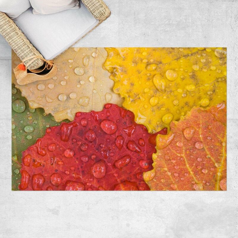 Bilderwelten - Alfombras vinílicas - Water Drops On Colourful Leaves - Apaisado 2:3 Dimensión LxA: 140cm x 210cm
Bilderwelten - Alfombras vinílicas - Water Drops On Colourful Leaves - Apaisado 2:3 Dimensión LxA: 140cm x 210cm