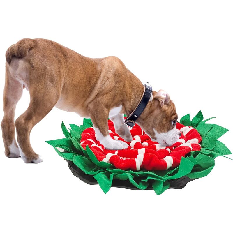 Alfombrilla para perros, alfombrilla para olfatear, manta para perros, alfombrilla para entrenadores de perros, juguete para perros, juego,
Alfombrilla para perros, alfombrilla para olfatear, manta para perros, alfombrilla para entrenadores de perros, juguete para perros, juego,
