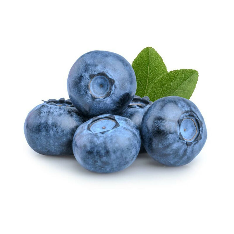 Arandano En Maceta 15X15Cm
Arandano En Maceta 15X15Cm