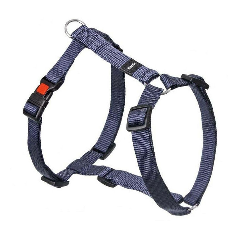 Flamingo Pet Products - Arnés H Ziggi granito azul. Tamaño del cuello 60 -85 cm. 25 MM . tamaño XXL. para perro.
Flamingo Pet Products - Arnés H Ziggi granito azul. Tamaño del cuello 60 -85 cm. 25 MM . tamaño XXL. para perro.