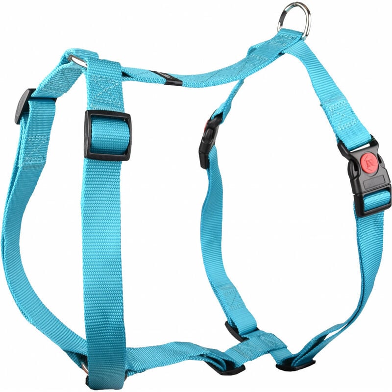Arnés H Ziggi turquesa. talla de cuello 70 -110 cm. 25 MM . talla XXL+. para perro.
Arnés H Ziggi turquesa. talla de cuello 70 -110 cm. 25 MM . talla XXL+. para perro.