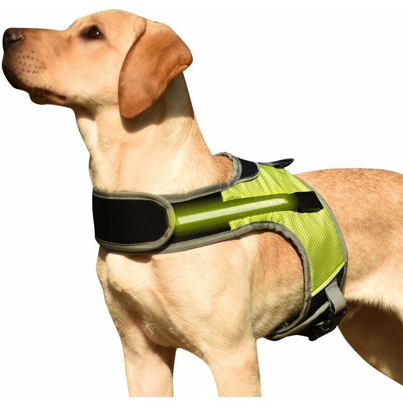 Arnes para perros Chaleco acolchado comodo ajustable reflectante con luz LED para perro mediano grande,Verde con Luz, L
Arnes para perros Chaleco acolchado comodo ajustable reflectante con luz LED para perro mediano grande,Verde con Luz, L