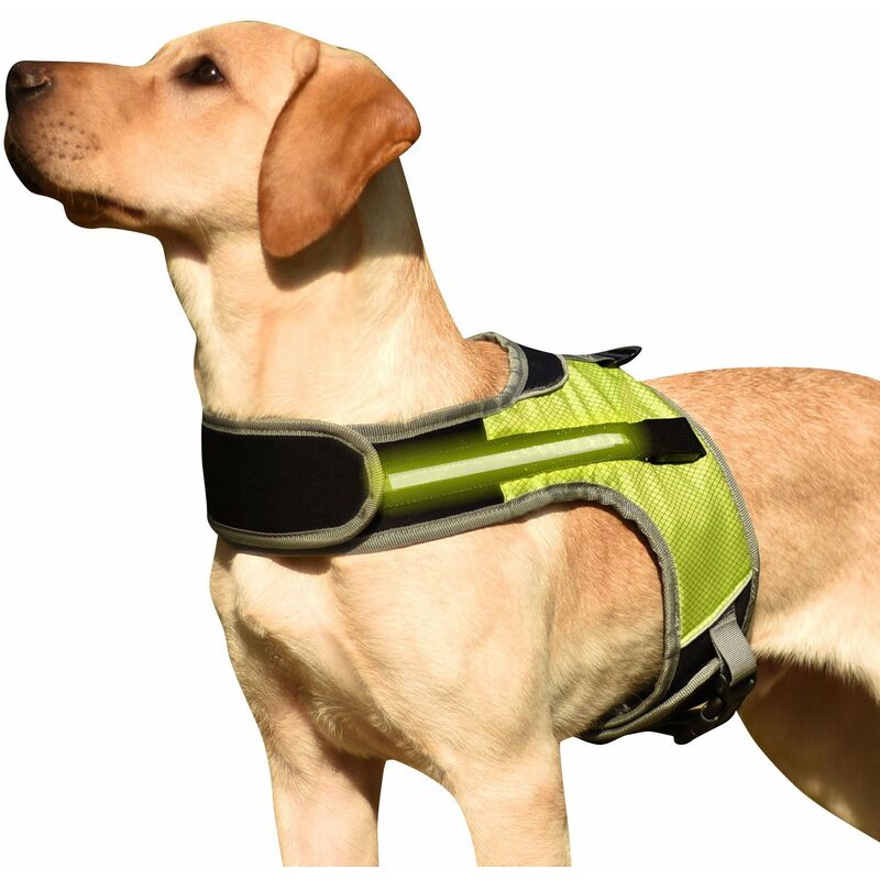 Arnes para perros Chaleco acolchado comodo ajustable reflectante con luz LED para perro mediano grande,Verde con Luz, S
Arnes para perros Chaleco acolchado comodo ajustable reflectante con luz LED para perro mediano grande,Verde con Luz, S
