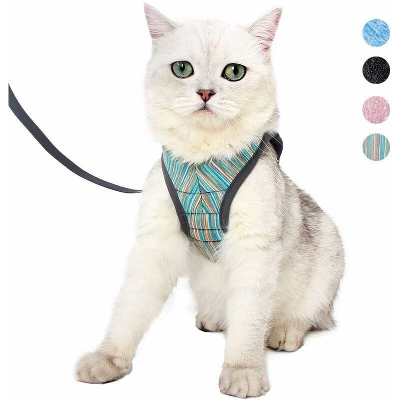 Arnés y correa ultraligeros para gatos, suave y cómodo, con cuello de gatito, chaqueta para caminar para gatos, a prueba de fugas, adecuada para
Arnés y correa ultraligeros para gatos, suave y cómodo, con cuello de gatito, chaqueta para caminar para gatos, a prueba de fugas, adecuada para