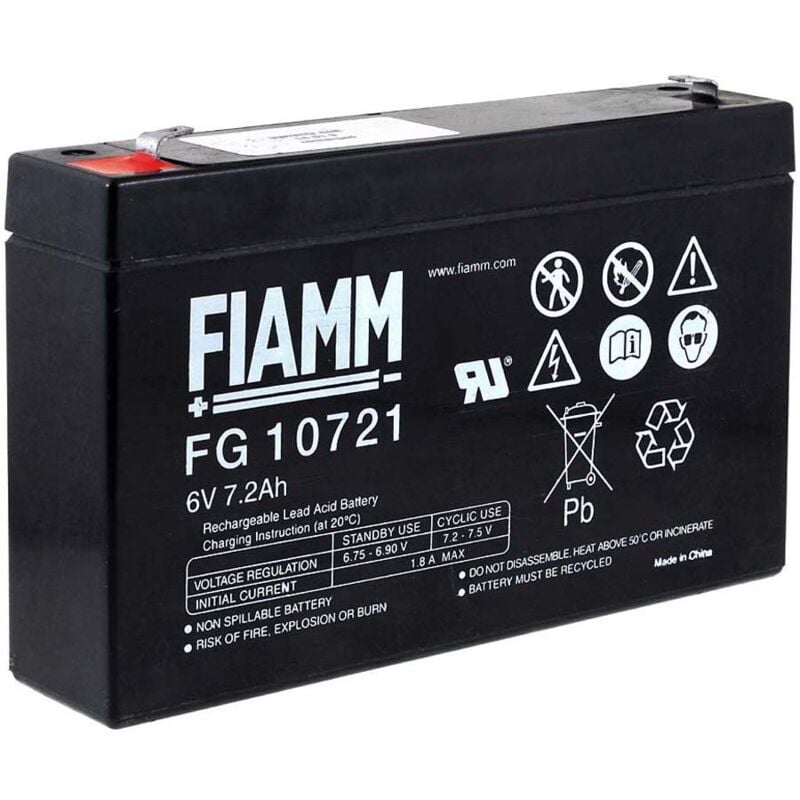 Fiamm - Batería de recambio FG10721 6V 7,2Ah para señuelo de pesca, barco de cebo, barco señuelo
Fiamm - Batería de recambio FG10721 6V 7,2Ah para señuelo de pesca, barco de cebo, barco señuelo