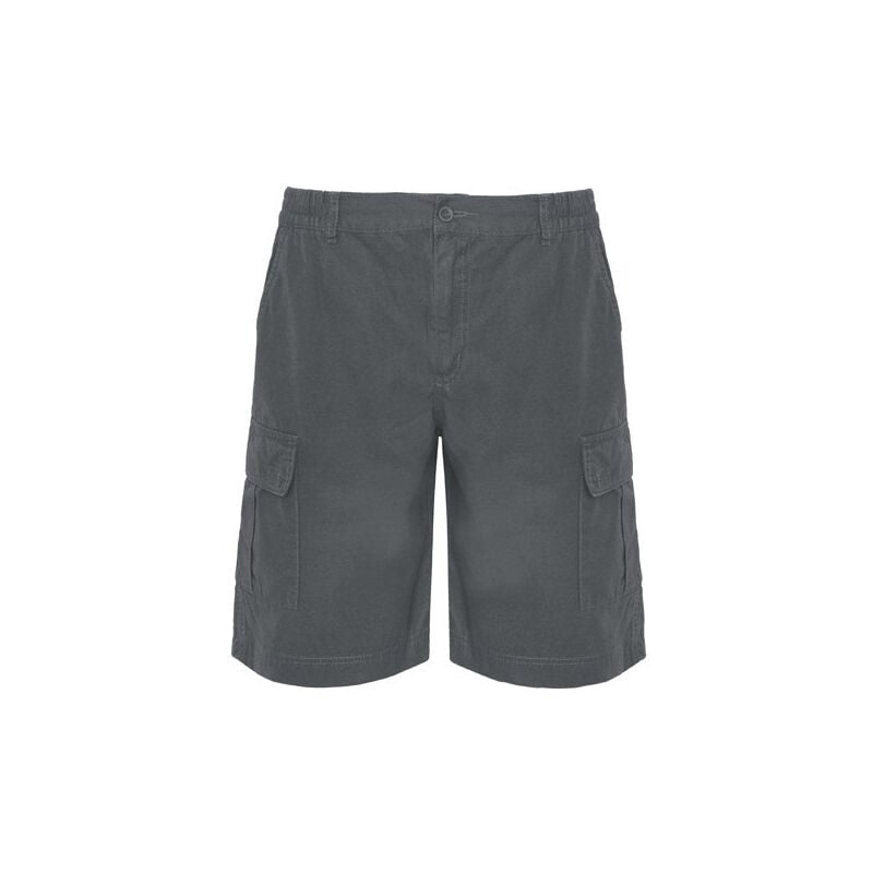 Roly - Bermuda con cintura, elástico ajustable en laterales ARMOUR BE6725 | Plomo - XXXL
Roly - Bermuda con cintura, elástico ajustable en laterales ARMOUR BE6725 | Plomo - XXXL