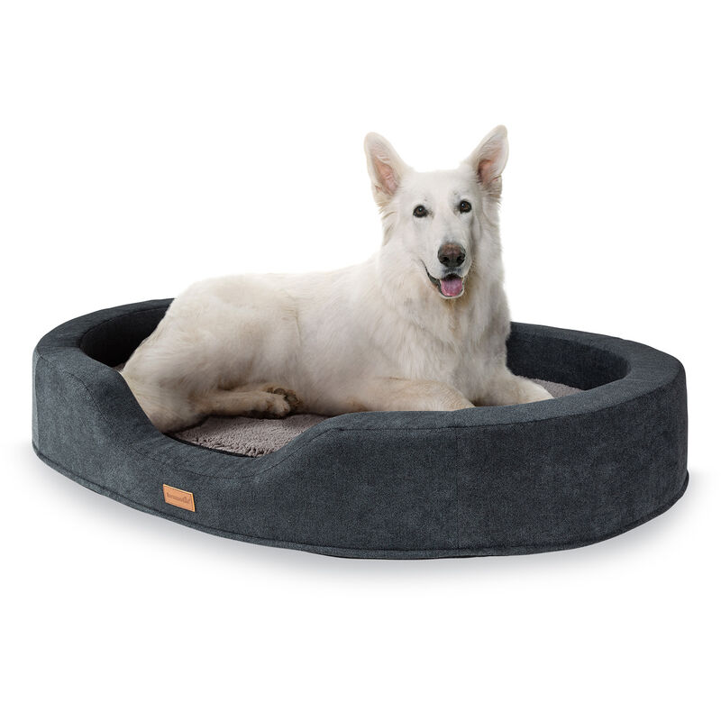 Brunolie - Lotte Cama para perros Cojín para perros | Lavable | Ortopédica | Antideslizante | Espuma viscoelástica transpirable | Tamaño XL (120 x 20
Brunolie - Lotte Cama para perros Cojín para perros | Lavable | Ortopédica | Antideslizante | Espuma viscoelástica transpirable | Tamaño XL (120 x 20
