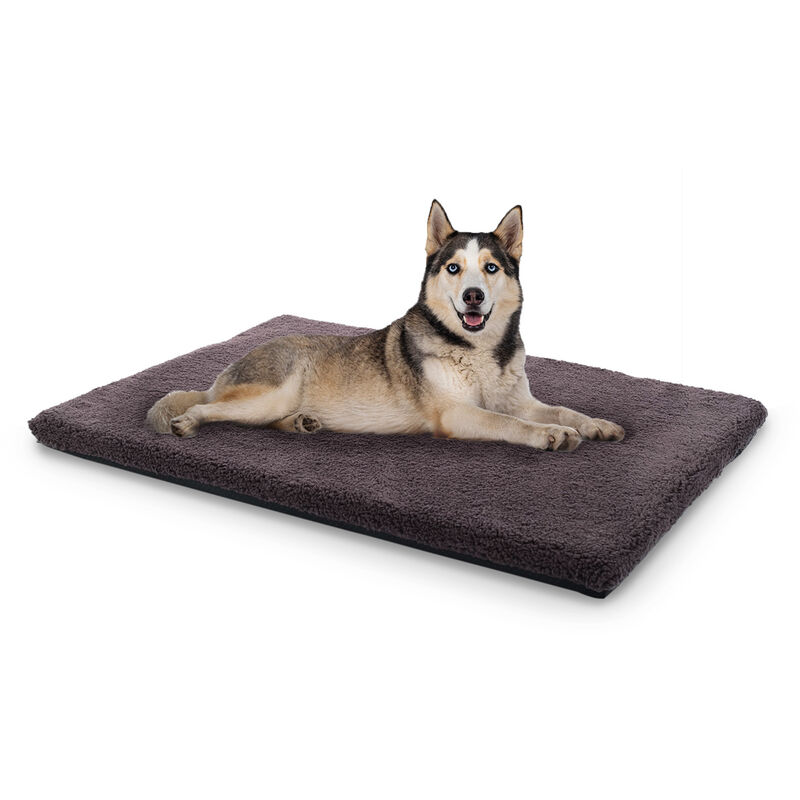 Luna Cama para perros Colchón para perros | Lavable | Ortopédico | Antideslizante | Transpirable | Espuma viscoelástica | Tamaño L (100 x 5 x 70 cm)
Luna Cama para perros Colchón para perros | Lavable | Ortopédico | Antideslizante | Transpirable | Espuma viscoelástica | Tamaño L (100 x 5 x 70 cm)