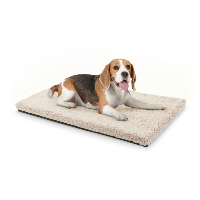 Luna Cama para perros Colchón para perros | Lavable | Ortopédico | Antideslizante | Transpirable | Espuma viscoelástica | Tamaño M (80 x 5 x 55 cm)
Luna Cama para perros Colchón para perros | Lavable | Ortopédico | Antideslizante | Transpirable | Espuma viscoelástica | Tamaño M (80 x 5 x 55 cm)