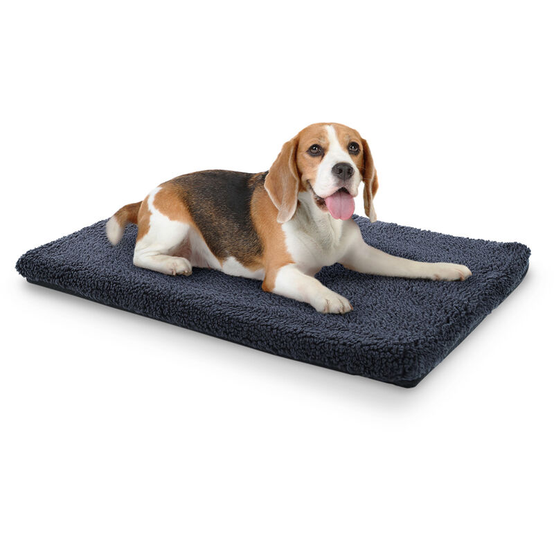 Luna Cama para perros Colchón para perros | Lavable | Ortopédico | Antideslizante | Transpirable | Espuma viscoelástica | Tamaño M (80 x 5 x 55 cm)
Luna Cama para perros Colchón para perros | Lavable | Ortopédico | Antideslizante | Transpirable | Espuma viscoelástica | Tamaño M (80 x 5 x 55 cm)