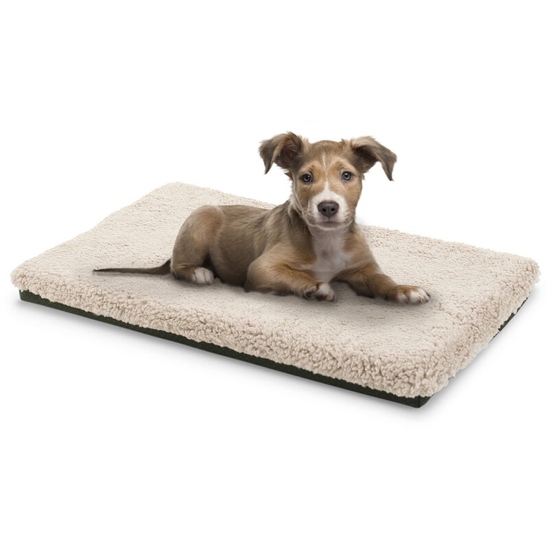 Luna Cama para perros Colchón para perros | Lavable | Ortopédico | Antideslizante | Transpirable | Espuma viscoelástica | Tamaño S (60 x 5 x 40 cm)
Luna Cama para perros Colchón para perros | Lavable | Ortopédico | Antideslizante | Transpirable | Espuma viscoelástica | Tamaño S (60 x 5 x 40 cm)