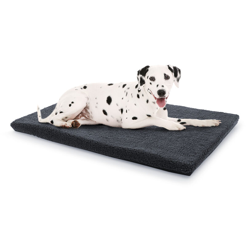 Nala Cama para perros Colchón para perros | Lavable | Antideslizante | Transpirable | Espuma confort | Tamaño M (100 x 5 x 70 cm)
Nala Cama para perros Colchón para perros | Lavable | Antideslizante | Transpirable | Espuma confort | Tamaño M (100 x 5 x 70 cm)