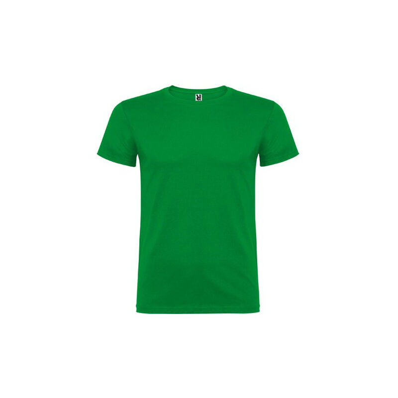 Camiseta de manga corta, de cuello redondo BEAGLE CA6554 (Para niños y niñas) | Verde Kelly - 1/2
Camiseta de manga corta, de cuello redondo BEAGLE CA6554 (Para niños y niñas) | Verde Kelly - 1/2