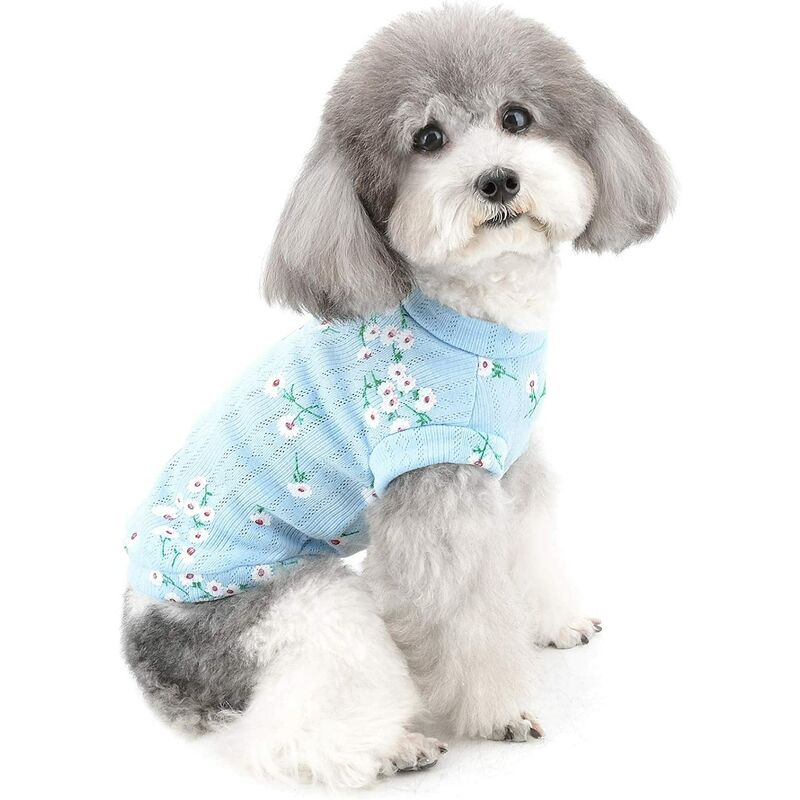 Camiseta sin mangas para perros pequeños - Ropa para mascotas - Para primavera y otoño - Estampado de margaritas - Algodón suave - Para chihuahua,
Camiseta sin mangas para perros pequeños - Ropa para mascotas - Para primavera y otoño - Estampado de margaritas - Algodón suave - Para chihuahua,