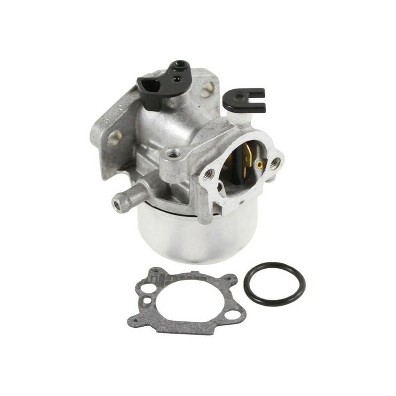 Carburateur Moteur Tondeuse Briggs Et Stratton Bri799871