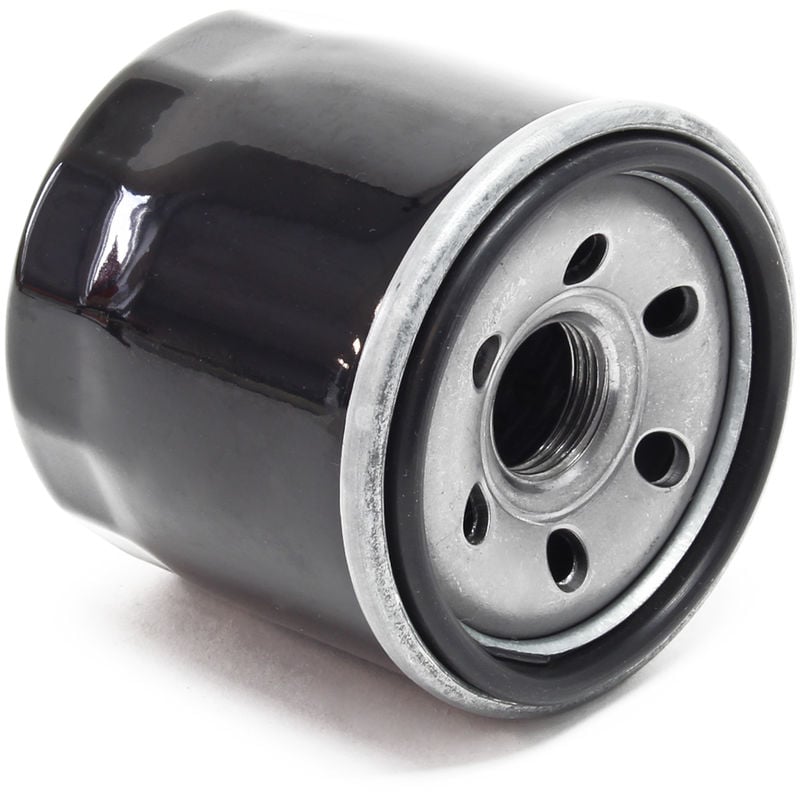 Patrón filtro de aceite de repuesto, recambio para motor de gasolina LIFAN 2V78F-3 15,5kW (20,4CV)
Patrón filtro de aceite de repuesto, recambio para motor de gasolina LIFAN 2V78F-3 15,5kW (20,4CV)