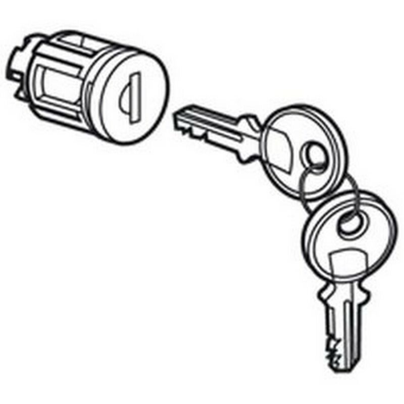 020291 - KEY tipo cilindro a 405 - metal o de vidrio de la puerta por XL3 - 1 juego con 2 llaves - Legrand
020291 - KEY tipo cilindro a 405 - metal o de vidrio de la puerta por XL3 - 1 juego con 2 llaves - Legrand