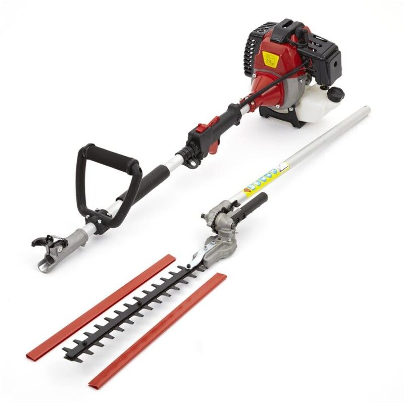 Menjibar - GRAN CORTASETOS DE ALTURA DE 52CC, BARRA REFORZADA DE 26MM Y ENGANCHE RÁPIDO
Menjibar - GRAN CORTASETOS DE ALTURA DE 52CC, BARRA REFORZADA DE 26MM Y ENGANCHE RÁPIDO
