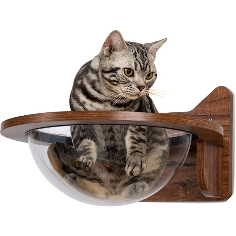 Cama para Gatos Montada a la Pared Casa Flotante con Burbuja Transparente Cápsula para Gatos - Costway
Cama para Gatos Montada a la Pared Casa Flotante con Burbuja Transparente Cápsula para Gatos - Costway