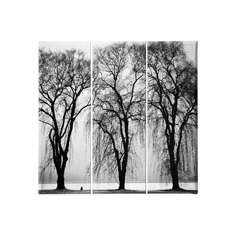 Homemania - Cuadro arbol - 3 piezas - Naturaleza y paisajes - por sala de estar, habitacion - Multicolor en Poliester, madera, 69 x 3 x 50 cm
Homemania - Cuadro arbol - 3 piezas - Naturaleza y paisajes - por sala de estar, habitacion - Multicolor en Poliester, madera, 69 x 3 x 50 cm