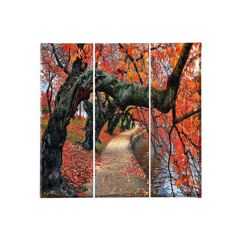 Homemania - Cuadro arbol - 3 piezas - Naturaleza y paisajes - por sala de estar, habitacion - Multicolor en Poliester, madera, 69 x 3 x 50 cm
Homemania - Cuadro arbol - 3 piezas - Naturaleza y paisajes - por sala de estar, habitacion - Multicolor en Poliester, madera, 69 x 3 x 50 cm