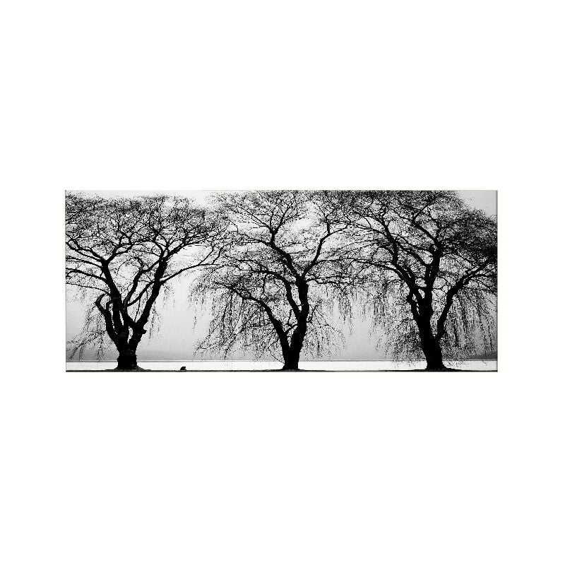 Homemania - Cuadro arbol - Naturaleza y paisajes - para la sala de estar, la habitacion - Multicolor en Poliester, madera, 70 x 3 x 100 cm
Homemania - Cuadro arbol - Naturaleza y paisajes - para la sala de estar, la habitacion - Multicolor en Poliester, madera, 70 x 3 x 100 cm