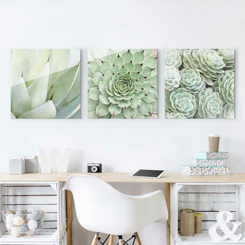 Bilderwelten - Cuadro de cristal - Agave and Succulent Trio - 3 parte Dimensión LxA: 3x 30cm x 30cm
Bilderwelten - Cuadro de cristal - Agave and Succulent Trio - 3 parte Dimensión LxA: 3x 30cm x 30cm