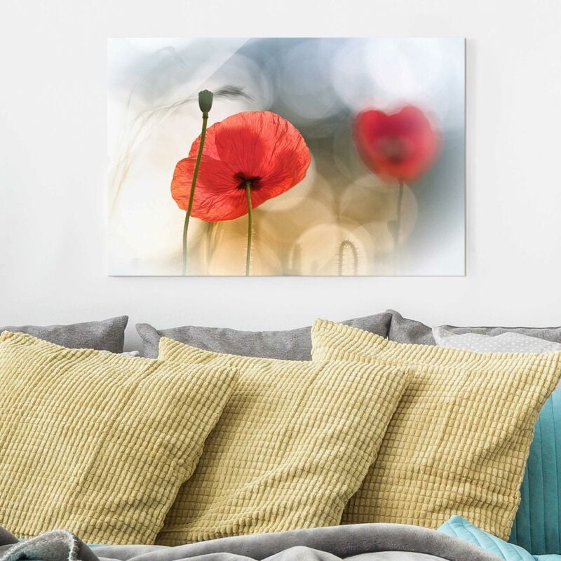 Cuadro de cristal - Amapolas en la Mañana - Formato Apaisado 2:3 Dimensión LxA: 30cm x 45cm
Cuadro de cristal - Amapolas en la Mañana - Formato Apaisado 2:3 Dimensión LxA: 30cm x 45cm