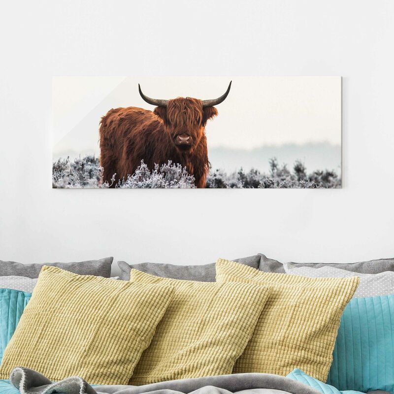 Bilderwelten - Cuadro de cristal - Bison In The Highlands - Panorama Apaisado Dimensión LxA: 50cm x 125cm
Bilderwelten - Cuadro de cristal - Bison In The Highlands - Panorama Apaisado Dimensión LxA: 50cm x 125cm