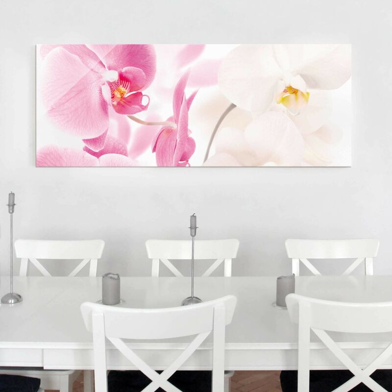 Cuadro de cristal - Delicate Orchids - Panorama Apaisado Dimensión LxA: 50cm x 125cm
Cuadro de cristal - Delicate Orchids - Panorama Apaisado Dimensión LxA: 50cm x 125cm