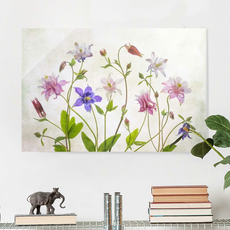 Cuadro de cristal - Forest Columbine - Formato Apaisado 2:3 Dimensión LxA: 80cm x 120cm
Cuadro de cristal - Forest Columbine - Formato Apaisado 2:3 Dimensión LxA: 80cm x 120cm