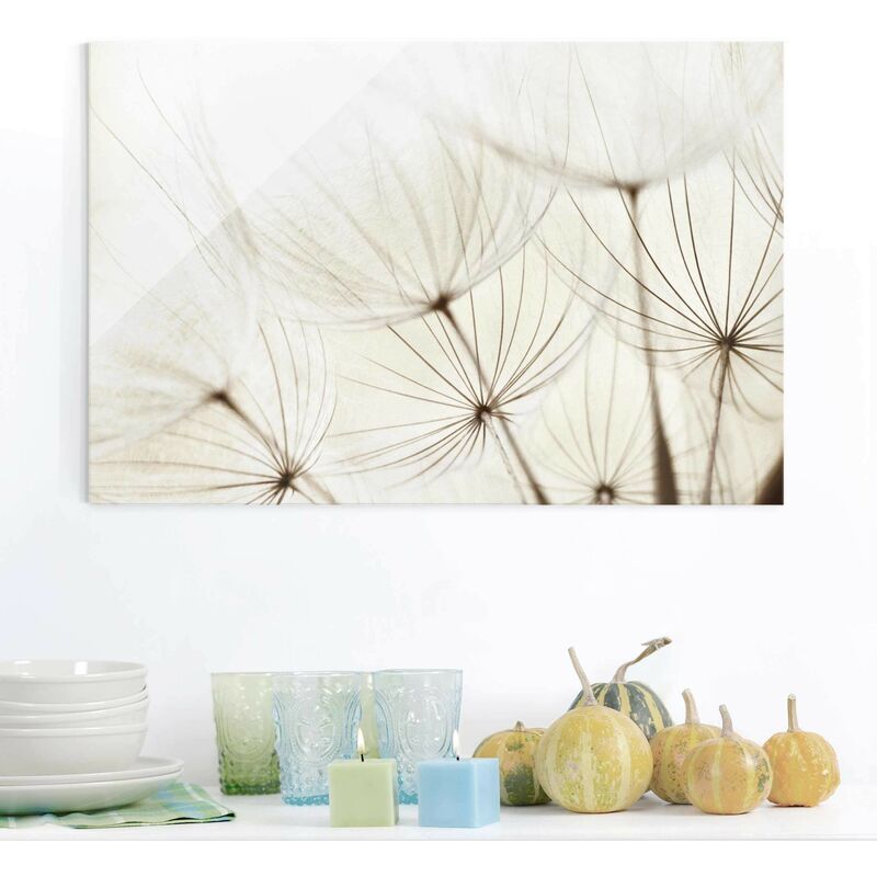 Bilderwelten - Cuadro de cristal - Gentle Grasses - Apaisado 2:3 Dimensión LxA: 80cm x 120cm
Bilderwelten - Cuadro de cristal - Gentle Grasses - Apaisado 2:3 Dimensión LxA: 80cm x 120cm