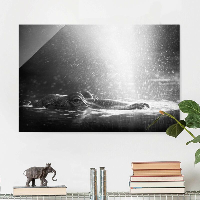 Bilderwelten - Cuadro de cristal - Hippo bob up - Apaisado 2:3 Dimensión LxA: 60cm x 90cm
Bilderwelten - Cuadro de cristal - Hippo bob up - Apaisado 2:3 Dimensión LxA: 60cm x 90cm