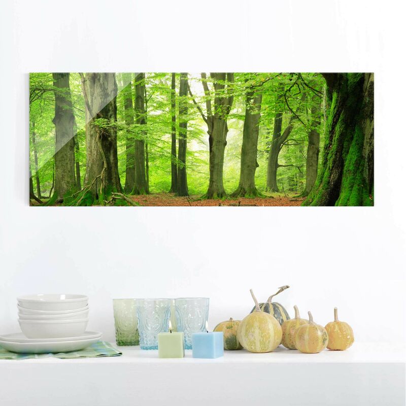 Cuadro de cristal - Mighty Beech Trees - Panorama Apaisado Dimensión LxA: 30cm x 80cm
Cuadro de cristal - Mighty Beech Trees - Panorama Apaisado Dimensión LxA: 30cm x 80cm