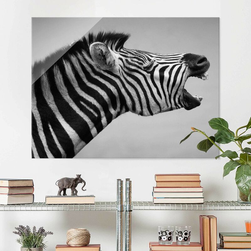 Bilderwelten - Cuadro de cristal - Rawling Zebra II - Apaisado 3:4 Dimensión LxA: 75cm x 100cm
Bilderwelten - Cuadro de cristal - Rawling Zebra II - Apaisado 3:4 Dimensión LxA: 75cm x 100cm