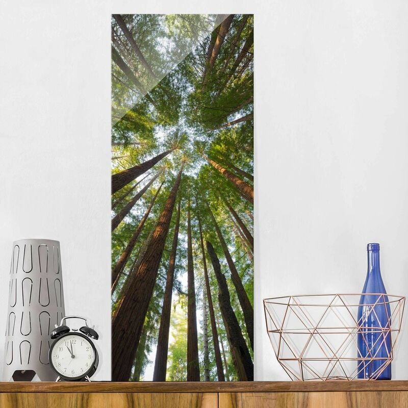 Bilderwelten - Cuadro de cristal - Sequoia treetops - Panorama Alto Dimensión LxA: 100cm x 40cm
Bilderwelten - Cuadro de cristal - Sequoia treetops - Panorama Alto Dimensión LxA: 100cm x 40cm