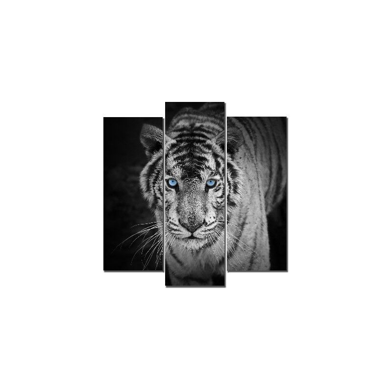 Homemania - Cuadro De Pared - Tigre - Naturaleza - para la sala de estar, la habitacion - Multicolor en MDF, 19 x 0,3 x 50 cm (2 Stuecke), 19 x 0,3 x
Homemania - Cuadro De Pared - Tigre - Naturaleza - para la sala de estar, la habitacion - Multicolor en MDF, 19 x 0,3 x 50 cm (2 Stuecke), 19 x 0,3 x