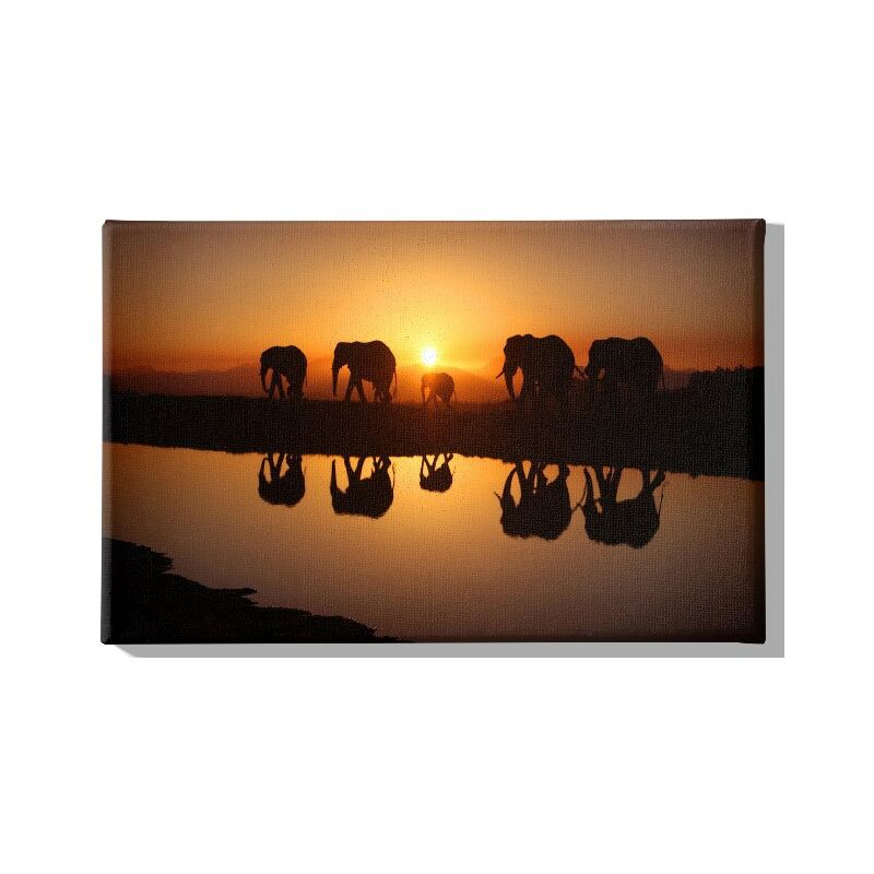 Homemania - Cuadro Elefante - Animales - para la sala de estar, la habitacion - Multicolor en Poliester, madera, 45 x 3 x 70 cm
Homemania - Cuadro Elefante - Animales - para la sala de estar, la habitacion - Multicolor en Poliester, madera, 45 x 3 x 70 cm