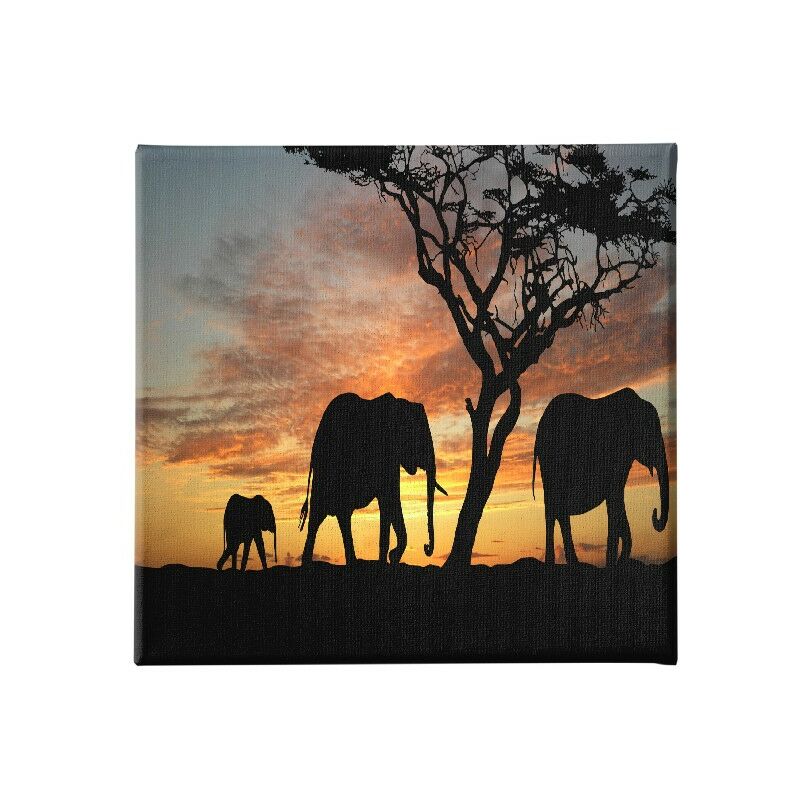 Homemania - Cuadro Elefante - Animales - para la sala de estar, la habitacion - Multicolor en Poliester, madera, 60 x 3 x 60 cm
Homemania - Cuadro Elefante - Animales - para la sala de estar, la habitacion - Multicolor en Poliester, madera, 60 x 3 x 60 cm
