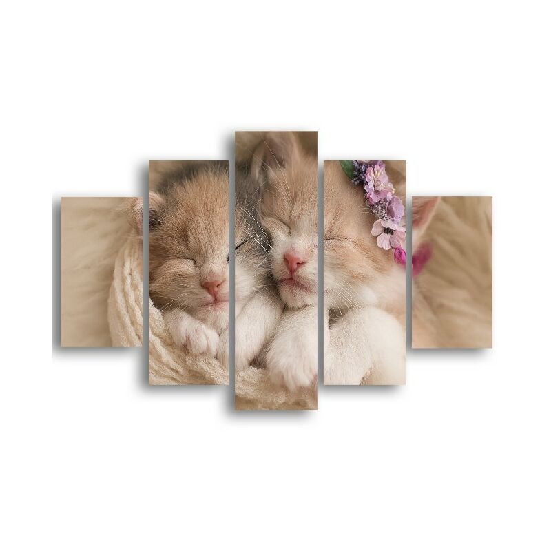 Homemania - Cuadro Felino - 5 Piezas - Animales - por sala, habitacion - Multicolor en MDF, 95 x 0,3 x 60 cm
Homemania - Cuadro Felino - 5 Piezas - Animales - por sala, habitacion - Multicolor en MDF, 95 x 0,3 x 60 cm