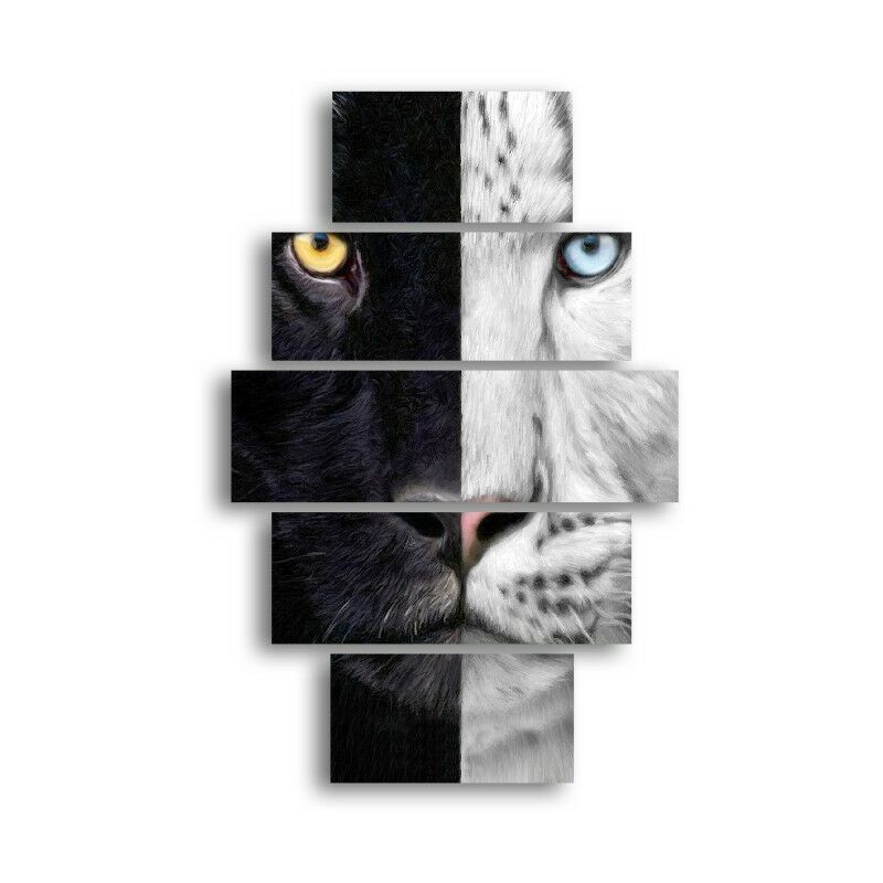 Homemania - Cuadro Felino - 5 Piezas - Animales - por sala, habitacion - Multicolor en MDF, 95 x 0,3 x 60 cm
Homemania - Cuadro Felino - 5 Piezas - Animales - por sala, habitacion - Multicolor en MDF, 95 x 0,3 x 60 cm