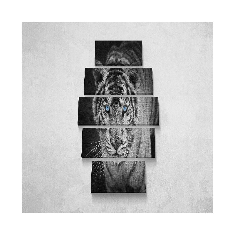 Cuadro Felino - 5 Piezas - Animales - por sala, habitacion - Multicolor en Poliester, madera, 100 x 3 x 60 cm
Cuadro Felino - 5 Piezas - Animales - por sala, habitacion - Multicolor en Poliester, madera, 100 x 3 x 60 cm