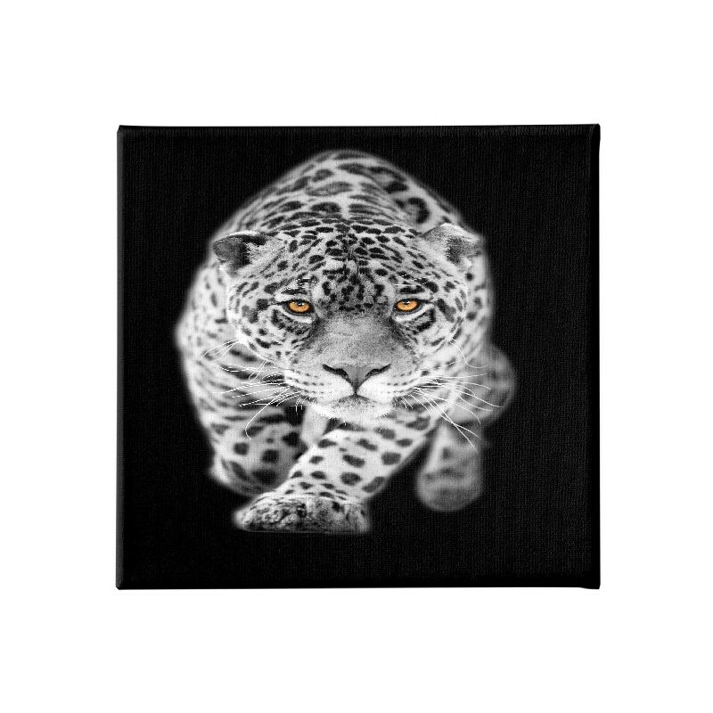 Homemania - Cuadro Felino - Animales - para la sala de estar, la habitacion - Multicolor en Poliester, madera, 60 x 3 x 60 cm
Homemania - Cuadro Felino - Animales - para la sala de estar, la habitacion - Multicolor en Poliester, madera, 60 x 3 x 60 cm