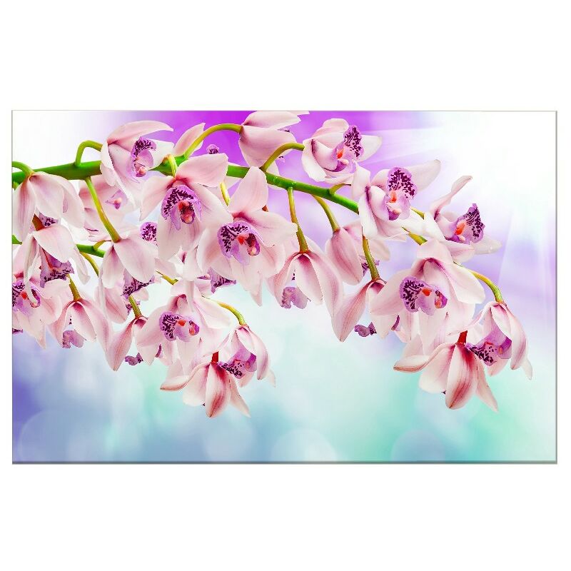 Homemania - Cuadro Flores - La naturaleza - para la sala de estar, la habitacion - Multicolor en Poliester, madera, 100 x 3 x 50 cm
Homemania - Cuadro Flores - La naturaleza - para la sala de estar, la habitacion - Multicolor en Poliester, madera, 100 x 3 x 50 cm