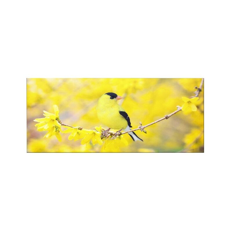 Cuadro Pajaro - Animales - para la sala de estar, la habitacion - Multicolor en Poliester, madera, 70 x 3 x 100 cm
Cuadro Pajaro - Animales - para la sala de estar, la habitacion - Multicolor en Poliester, madera, 70 x 3 x 100 cm