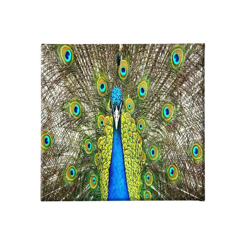 Homemania - Cuadro Peacock - Animales - para la sala de estar, la habitacion - Multicolor en Poliester, madera, 60 x 3 x 60 cm
Homemania - Cuadro Peacock - Animales - para la sala de estar, la habitacion - Multicolor en Poliester, madera, 60 x 3 x 60 cm