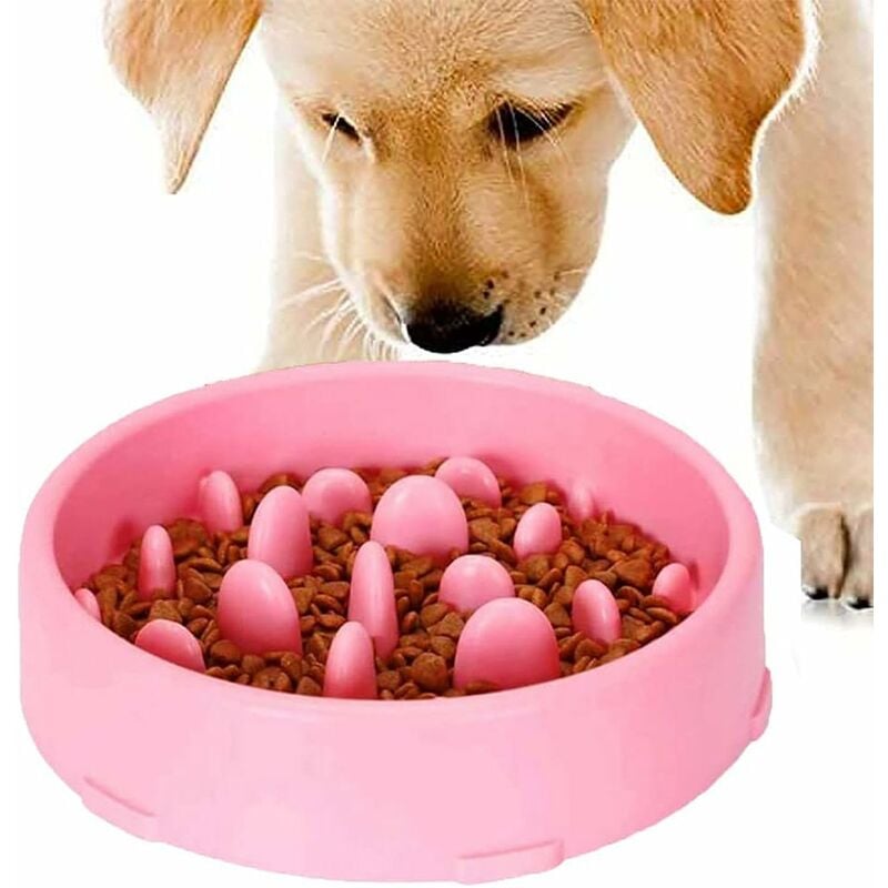 Abcrital - Cuenco de alimentación lenta para perros, cuenco de alimentación lenta, cuenco anti glotón para perro gato, promueve una alimentación
Abcrital - Cuenco de alimentación lenta para perros, cuenco de alimentación lenta, cuenco anti glotón para perro gato, promueve una alimentación
