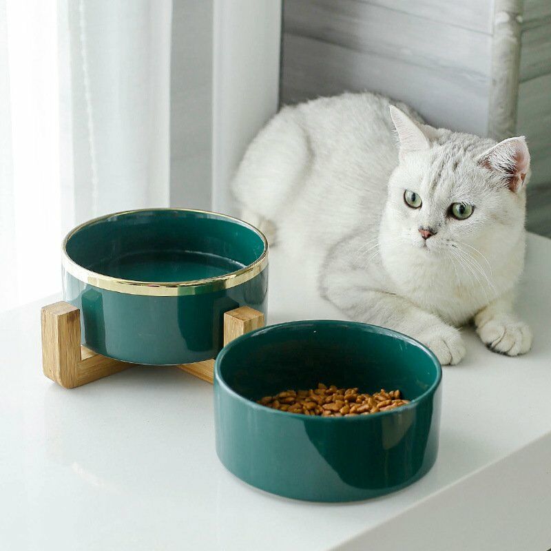 Cuenco de ceramica para gatos, cuenco de comida para gatos, cuenco para beber, cuenco para mascotas, cuenco para comida para perros, cuenco para
Cuenco de ceramica para gatos, cuenco de comida para gatos, cuenco para beber, cuenco para mascotas, cuenco para comida para perros, cuenco para