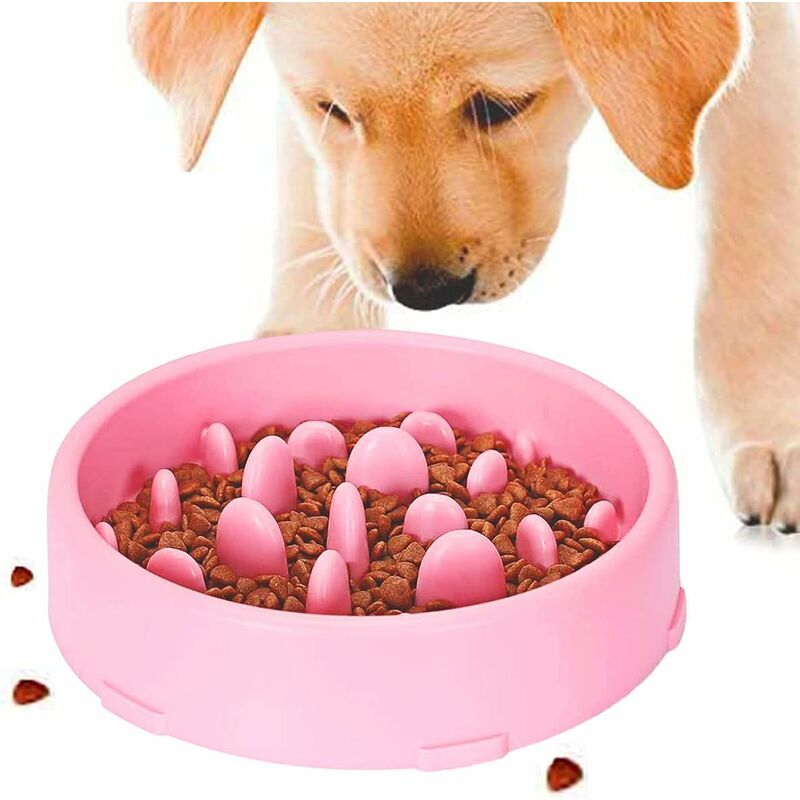 Cuenco para perros de alimentación lenta, diseño antideslizante de alimentación lenta, cuenco interactivo divertido para perros y gatos, promueve una
Cuenco para perros de alimentación lenta, diseño antideslizante de alimentación lenta, cuenco interactivo divertido para perros y gatos, promueve una