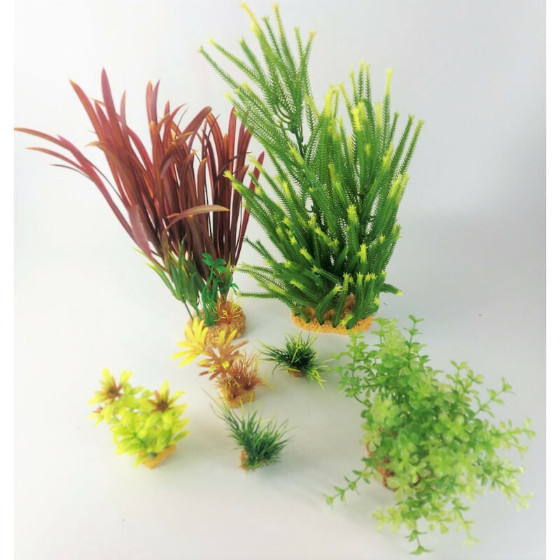 Deco plantkit idro n°4. Plantas artificiales. 7 piezas. Decoración de acuario de 33 cm. de altura.
Deco plantkit idro n°4. Plantas artificiales. 7 piezas. Decoración de acuario de 33 cm. de altura.